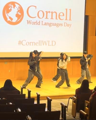 LOKO performance at WLD 2025